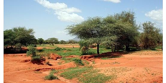 Viaggio in Mauritania e Mali