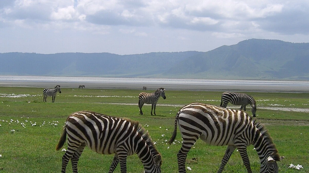 emozionante tanzania