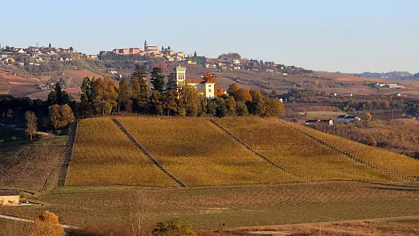 che belle le langhe in autunno!