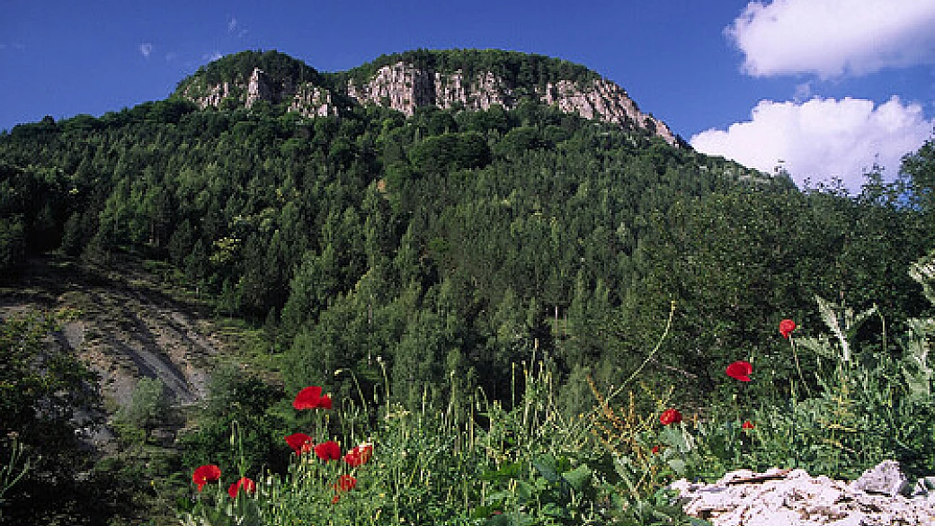 vicini ancora lontani