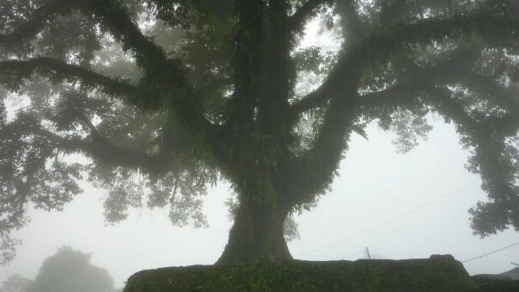 dall'italia alla svizzera!!...india/nepal