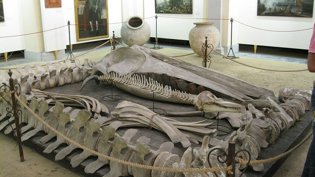 il salento piace anche ai più piccoli