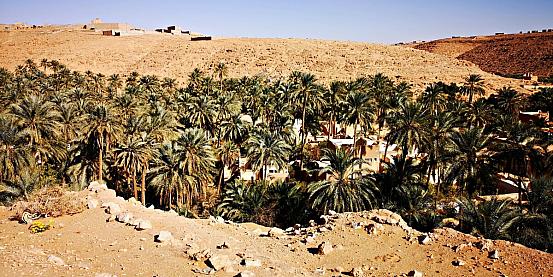 14 - panorama sull'Oasi di Ghardaia