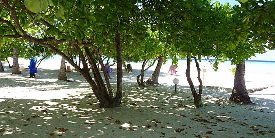 raccoglitrici di foglie alle maldive