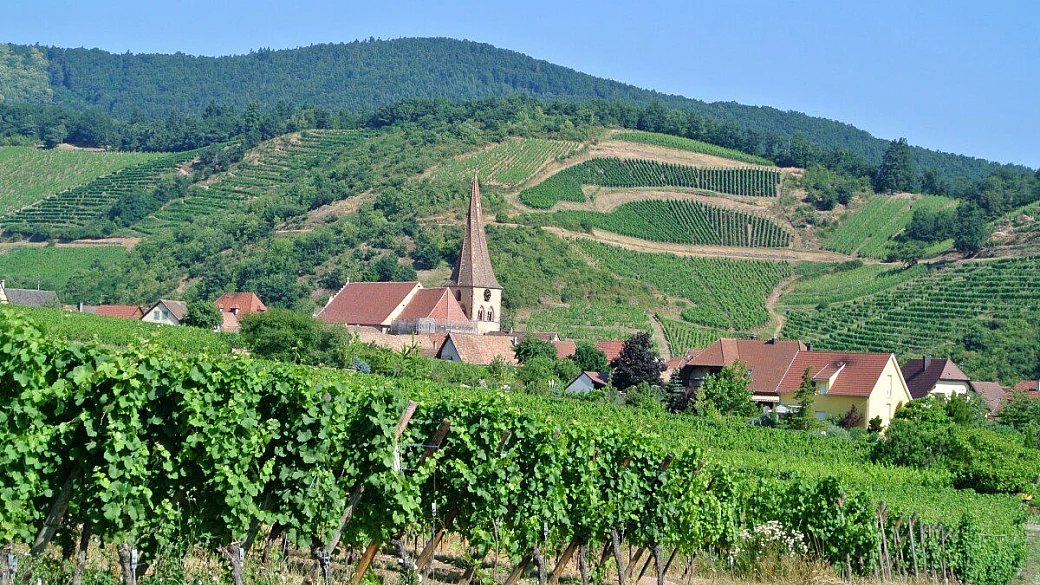 una settimana tra alsazia e champagne