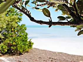 america-centrale-72uwn