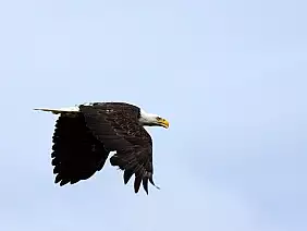 america-centrale-k8j4d