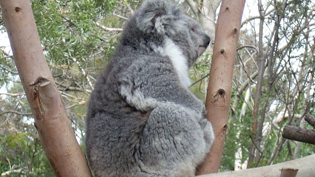 australia: bello e cattivo tempo