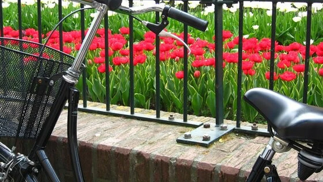 il regno delle bici e dei tulipani