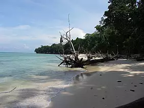 andaman-and-nicobar-islands-d5uud