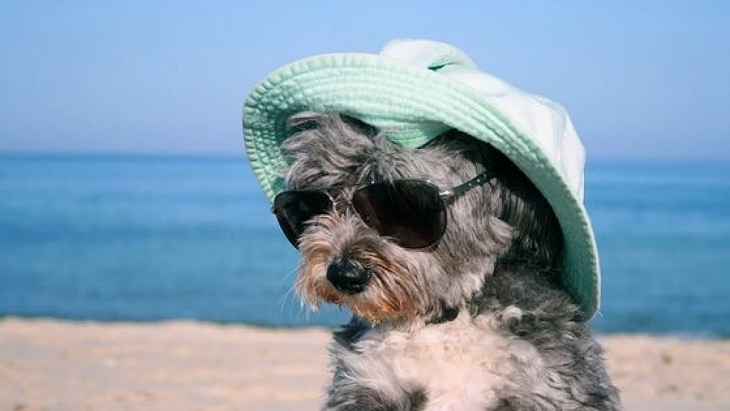 aggiornamenti sul flash mob!