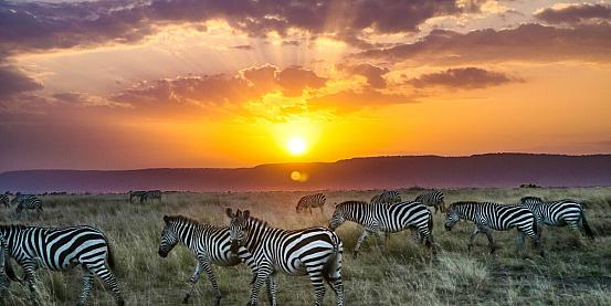 l'alba nel Masai Mara 2