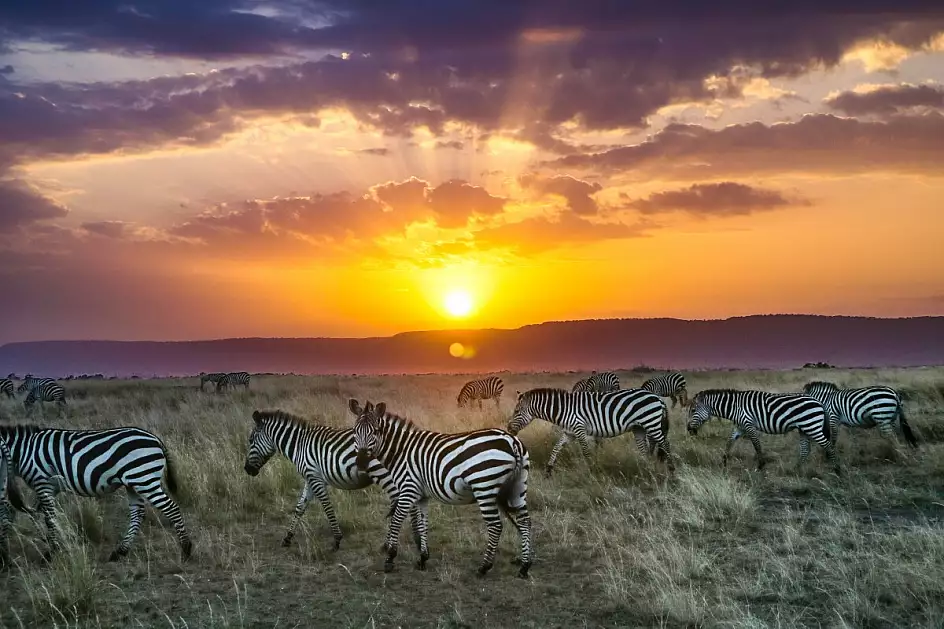 l'alba nel masai mara 2