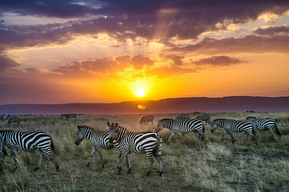l'alba nel masai mara 2