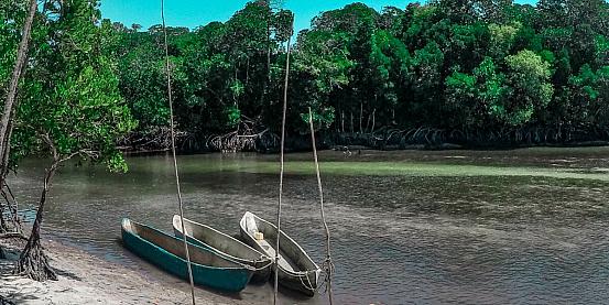 gita in canoa tra le mangrovie 2