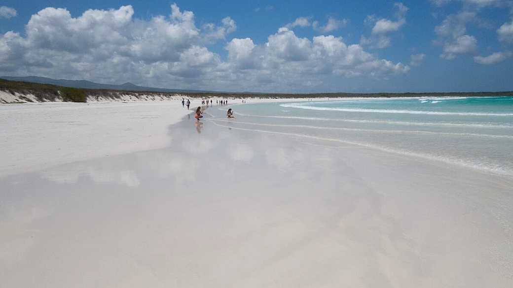 galápagos fai da te