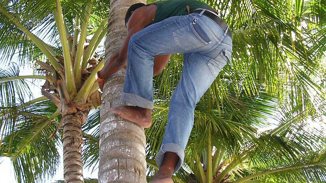 las terrenas cambiò la ma vita