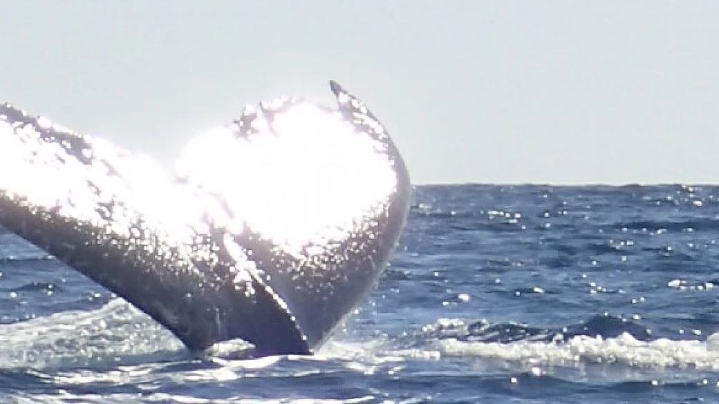 un tuffo in madagascar