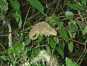 antananarivo-region-jajc2