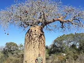 antananarivo-region-x2ve8