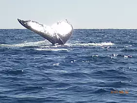 antananarivo-region-zgh68