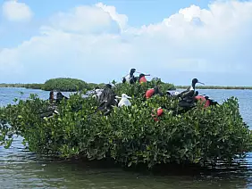 antigua-e-barbuda-nz7mj