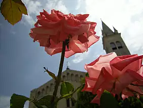 appennino-tosco-emiliano-njzja