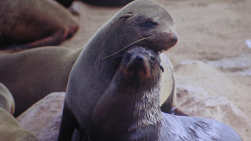 un paese dai mille colori