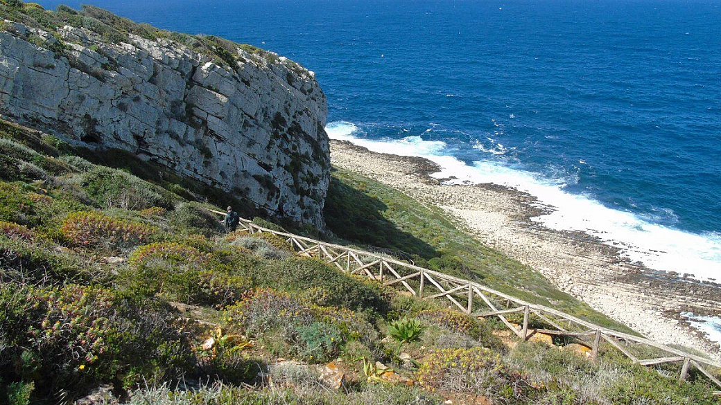 estate su adriatica con syusy alla ricerca dei misteri del mar mediterraneo