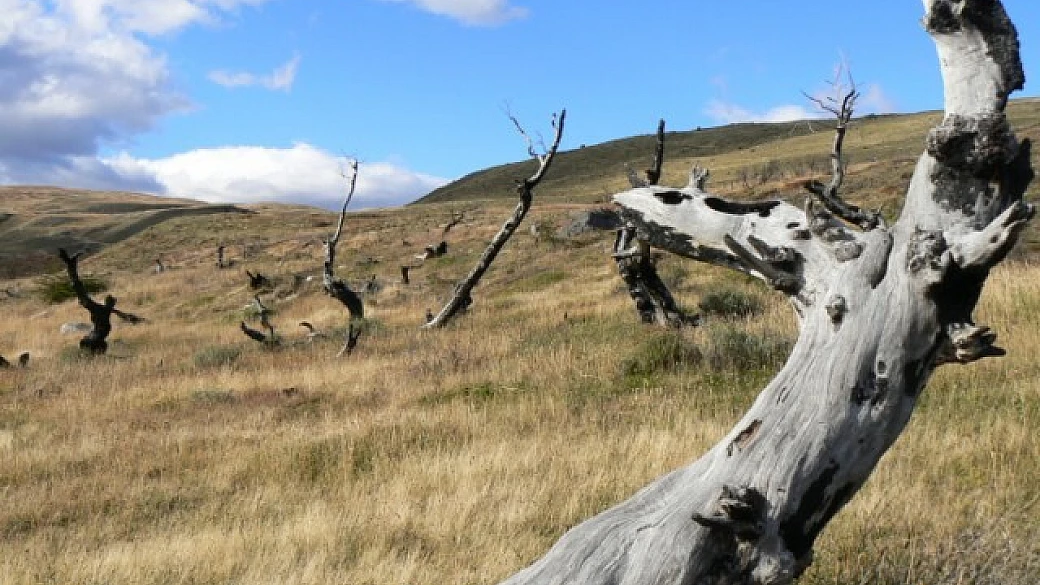 patagonia! dove altrimenti?!