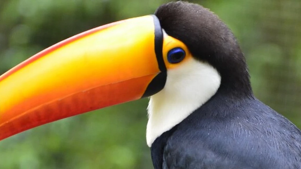 buenos aires, cascate iguazù e noa