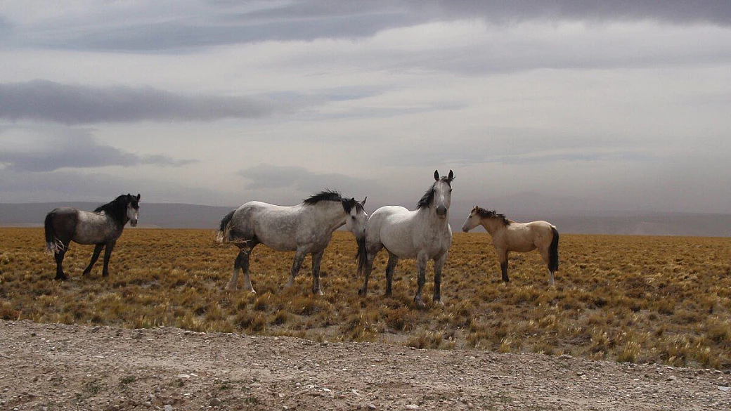 avventura in patagonia