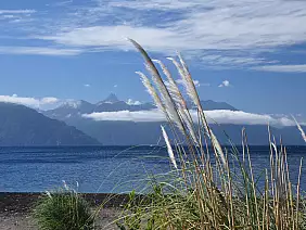 argentina-natura-d2frn