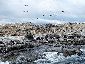 argentina-patagonia-e-tierra-avnvs