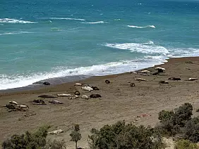 argentina-patagonia-e-tierra-eaj8j