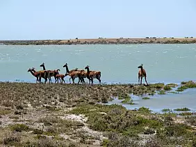 argentina-patagonia-e-tierra-hfq1j