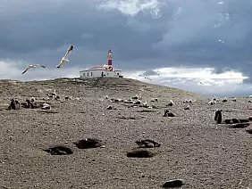 argentina-patagonia-e-tierra-j8b5w