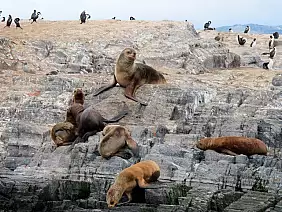 argentina-patagonia-e-tierra-srz7g