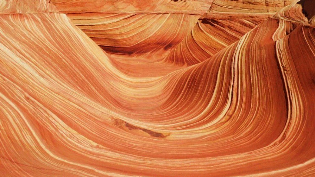 un anno di preparazione... e poi... siamo già tornati!