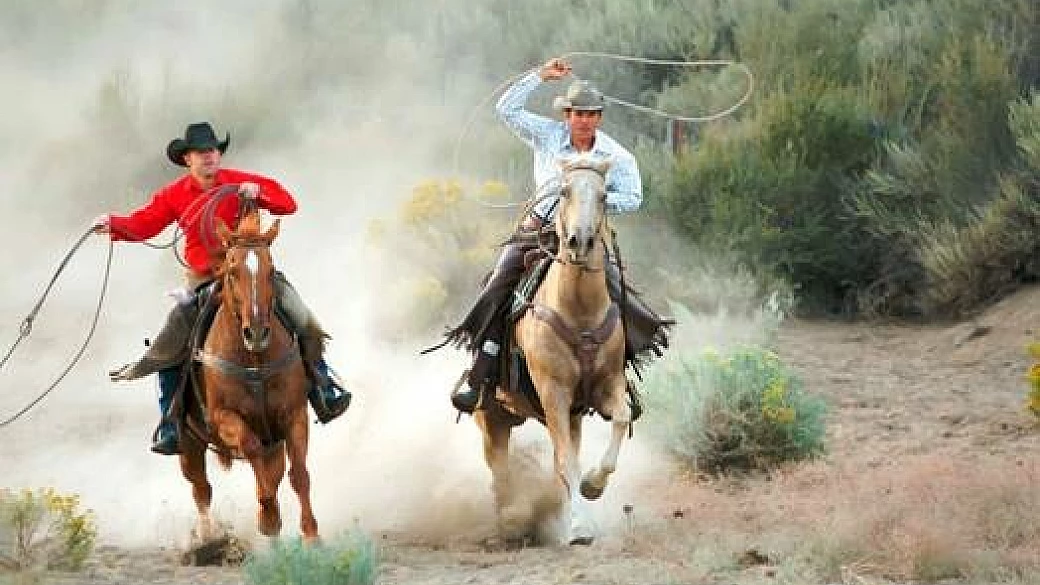 nei ranch dell’arizona