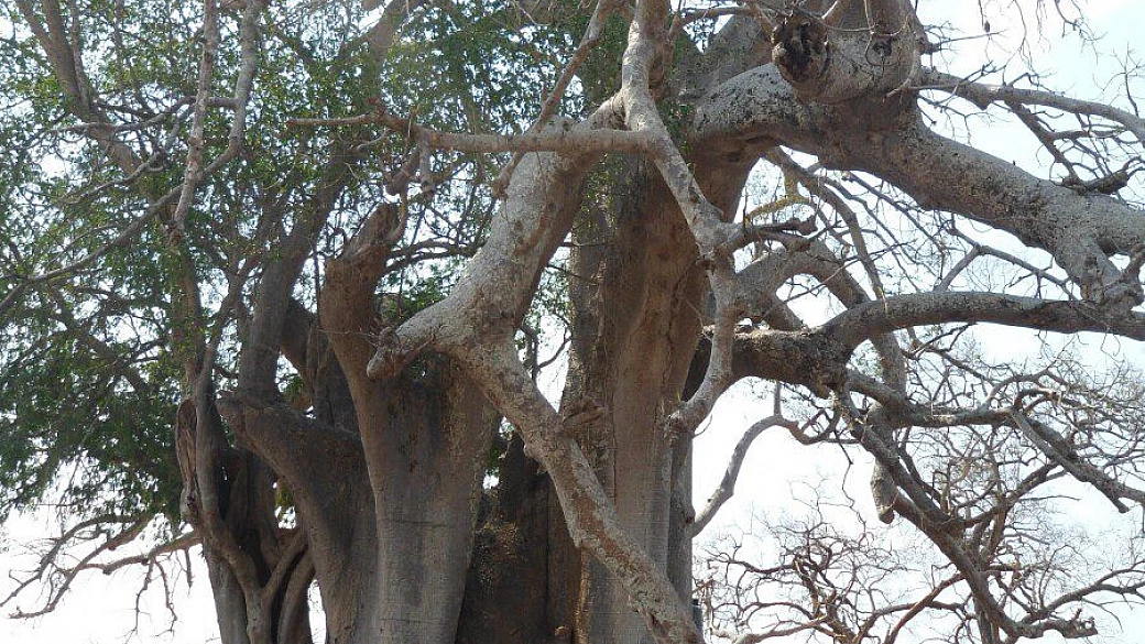 tanzania, viaggio alternativo e autogestito, senza passare per le agenzie