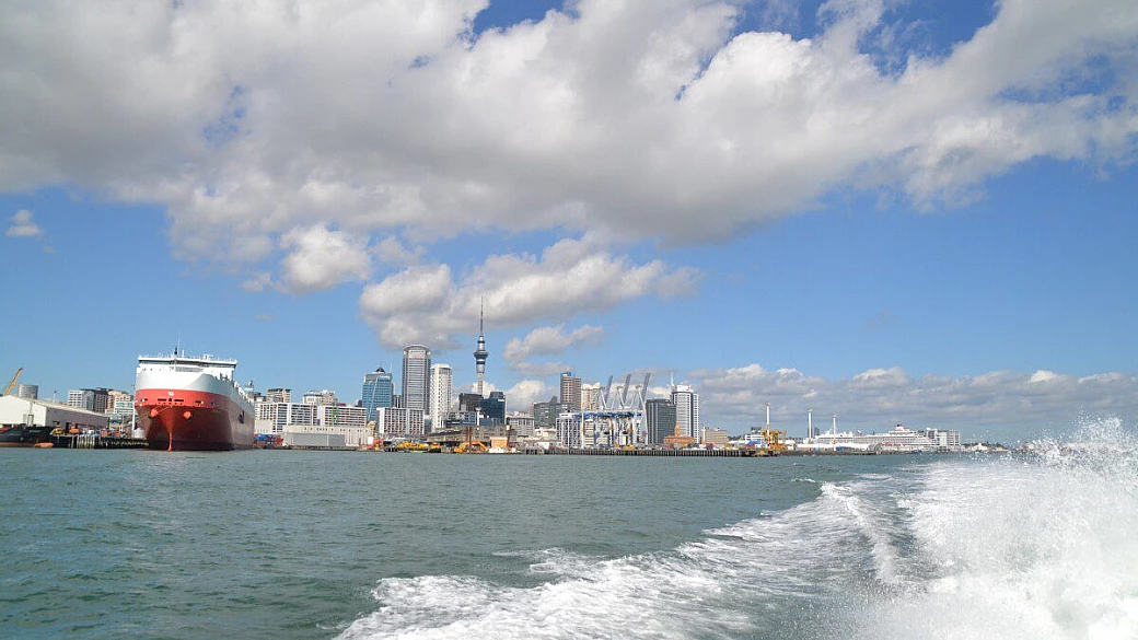 alla scoperta di kiwiland