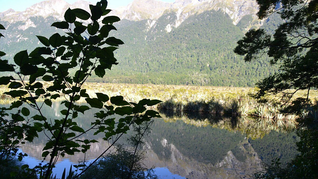 nuova zelanda, on the road nella terra dei kiwi