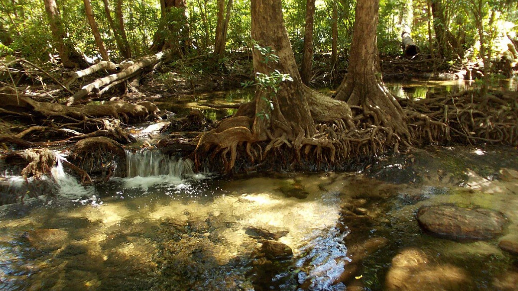 darwin, terra dei larrakia
