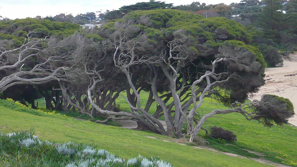 la nostra avventura nella terra dei canguri
