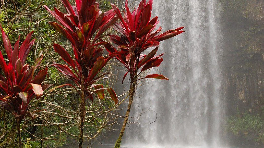 viaggio nell'east coast australia