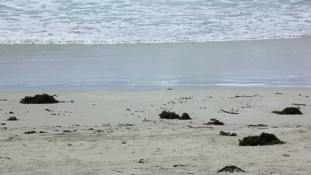 viaggio intorno al mondo