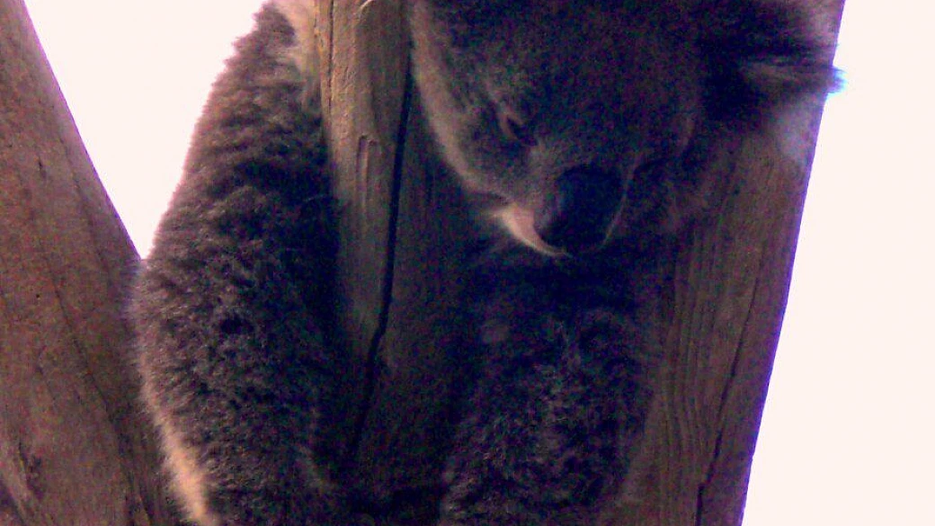 alla ricerca vita migliore