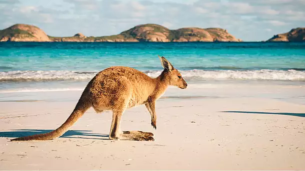 australia