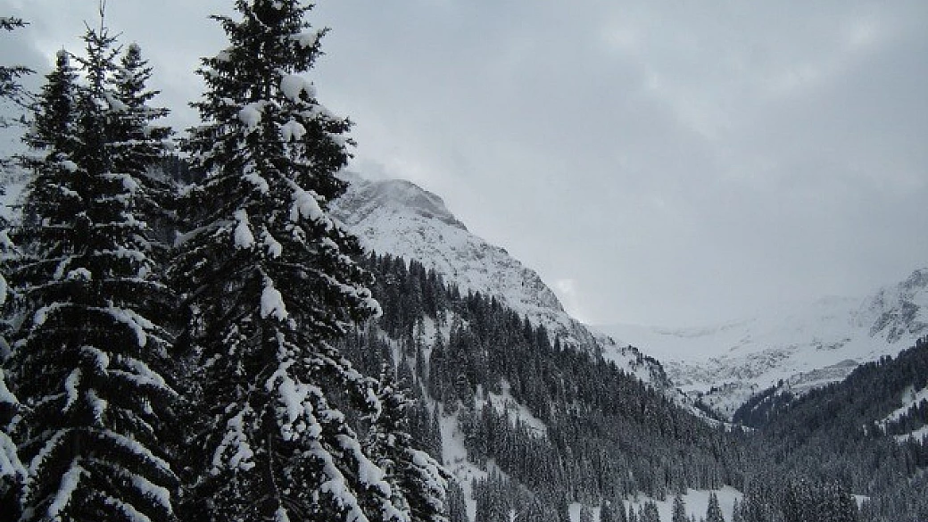 austria: che sorpresa!